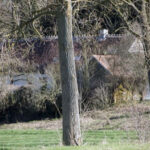 Onverschrokken Hans